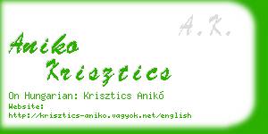 aniko krisztics business card