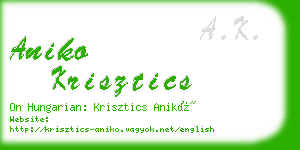 aniko krisztics business card